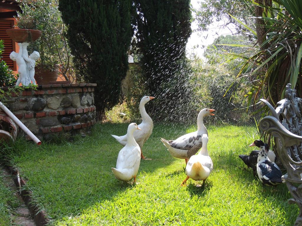 Il Cipresso Del Gallo Montecatini Terme Exteriör bild